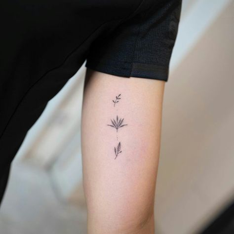 Seedling Tattoo Simple, Seedling Tattoo, Tattoo Simple, Olive Branches, Hand Poke, Olive Branch, Body Tattoos, Maple Leaf Tattoo, Cool Tattoos