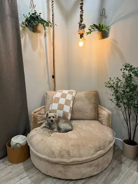 Round Chair Reading Corner, Rope Lights Ideas, Corner Lighting Ideas, Diy Rope Light, Rope Lighting Ideas, Rope Lights Bedroom, Diy Rope Lights, Livibg Room, Office Boho