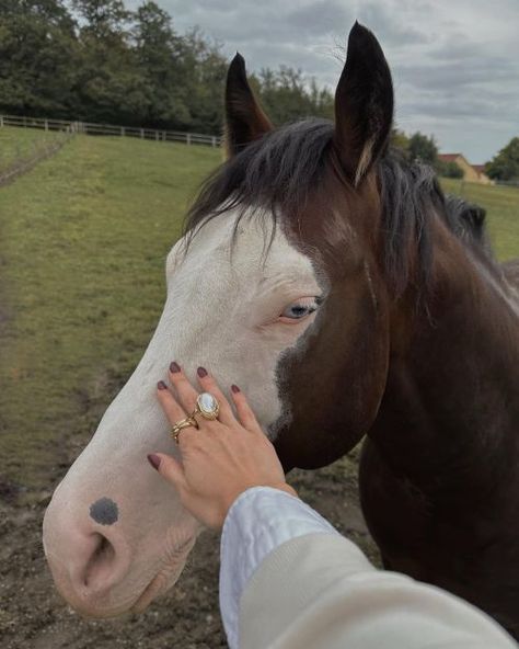 Merida Aesthetic, White Horse Photography, Kylie Francis, Wild Horses Photography, Disney Princesses And Princes, Disney Princess Modern, Horse Aesthetic, Modern Princess, Horse Face