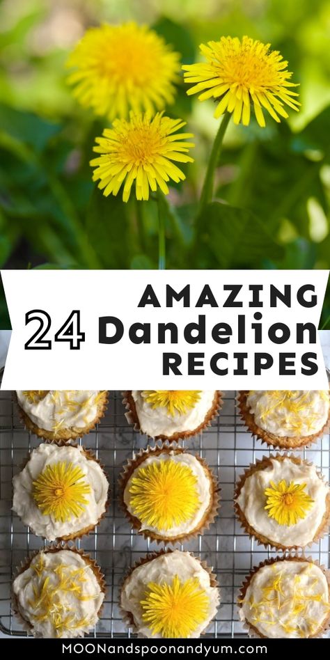 Foraging Tips, Recipes For Drinks, Flower Recipes, Dandelion Benefits, Edible Flowers Recipes, Honey Wine, Wild Food Foraging, Dandelion Flowers, Foraging Recipes