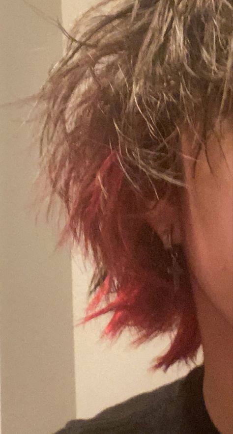 Red Hair Dye Men, Blonde Underneath Hair, Underdye Hair, Boys Colored Hair, Blonde Underneath, Red Hair Men, Brown Hair Men, Brown Curls, Dyed Red Hair