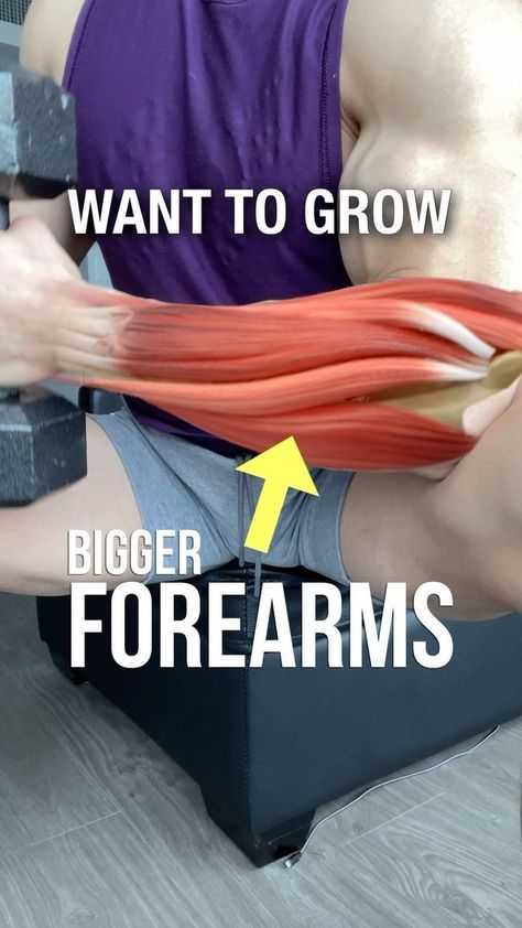 Bigger Forearms, Forearm Workout At Home, Arm Workout No Equipment, Big Forearms, Small Muscles, Free Workout Plans, Arm Exercise, Forearm Workout, Workout Program Gym