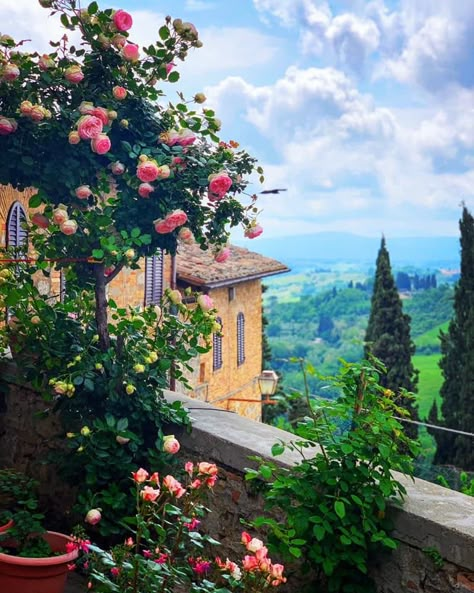 Tuscany Tuscany Italy Countryside, Provence Landscape, Italy Countryside, Tuscany Landscape, Road Pictures, Countryside Cottage, Italy Landscape, Italian Landscape, Italian Countryside