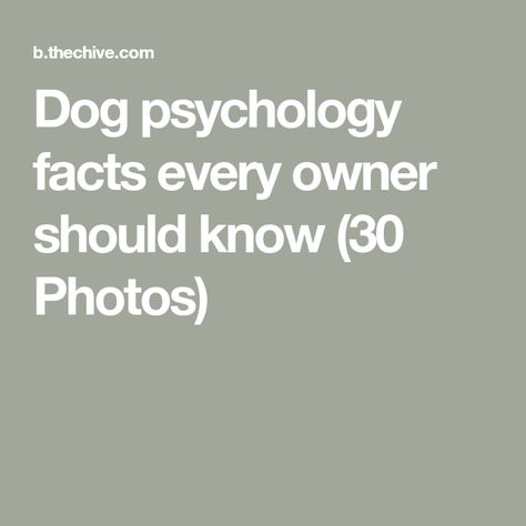 Dog psychology facts every owner should know (30 Photos) Dog Psychology, Weird Stuff, Psychology Facts, Dog Owner, Helpful Tips, A Dog, Helpful Hints, Psychology, Fitness Motivation