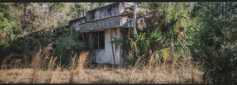 Desert Places, Welcome Center, Everglades Florida, Florida Oranges, Saint Marys, Abandoned Mansions, Florida Georgia, Gothic Aesthetic, Old Florida