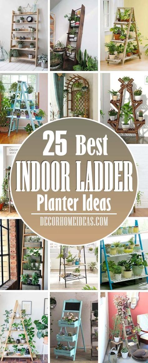 Garden Ladder Ideas, Ladder Planter, Ladder Plant Stand, Ladder Ideas, Plant Ladder, Garden Ladder, Diy Ladder, Landscaping Inspiration, Vertical Herb Garden