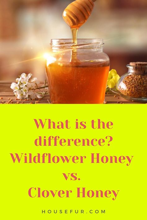 Wildflower Honey vs. Clover Honey Clover Honey, Honey And Clover, Orange Blossom Honey, Honey Water, Wildflower Honey, Dog Treats Homemade Recipes, House Plant Care, Dog Treat Recipes, Homemade Dog