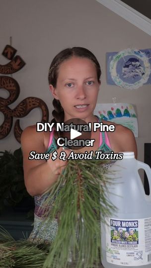 6.9K views · 1.8K reactions | Here is my favorite homemade cleaner! This is a pine vinegar cleaner, here are the 3 most important tips (they are in video too)

Most all pine species can be used for this recipe but some pine can be toxic, so make sure you are using pine from a tree that is not toxic to humans. Second, cut the needles from the branches to avoid a sticky cleaner. Lastly, always make sure the surfaces you are cleaning can be cleaned with vinegar; example natural stone surfaces like marble and granite might be damaged over time by the acidity of vinegar. 

Let your mixture sit in a dark and cool cabinet for 2-4 weeks, strain, it's optional to dilute 1:1 with water (I don't) then it's ready to use!

#toxinfree #toxinfreeliving #nontoxic #homemadecleaner #pinecleaner #pine #natur Homemade Cleaner, Vinegar Cleaner, Toxin Free Living, Bleach Alternative, Cleaning Diy, Homemade Cleaners, Homemade Cleaning Solutions, Cleaning Tricks, Vinegar Cleaning