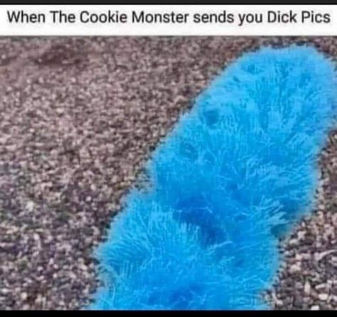 29 Dark and Dirty Memes for Lowbrow Humor Time - Funny Gallery Funny Innapropriate Pics, Memes Hilarious Funny Pictures, Unhinged Memes Hilarious, Funny Tips Of The Day, Dark Humorous Memes Funny, Funny Twisted Humor, Dark Memes Humor, Adulting Memes, Marriage Funny