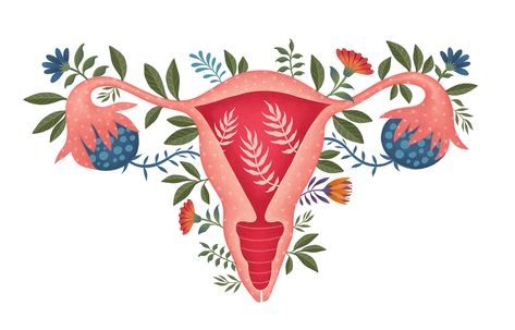 Pregnancy Illustration on Behance Pregnancy Illustration, Medical Drawings, Female Reproductive System, Menstrual Health, Parts Of A Flower, Reproductive System, Reproductive Health, Feminist Art, Portrait Illustration