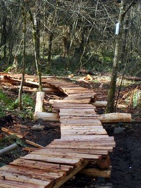 Build a path through a swamp Plank Bridge, Outdoor Bridges, Trail Life, Building Bridges, Cedar Lumber, Path Ideas, Bridge Building, Mountain Bike Trails, Bike Reviews