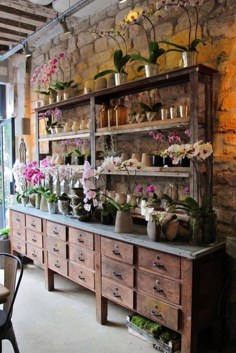 Beautiful Flower Shop Design, Florist Shop, Paris Shopping, Earthship, Floral Shop, Store Displays, Garden Shop, Shop Interiors, Display Design