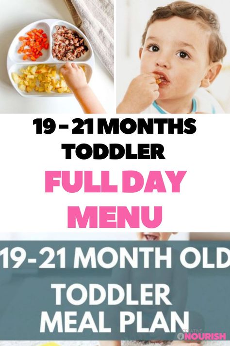 Toddler Weekly Meal Plan, Toddler Meal Schedule, Toddler Meal Plan, 1000 Calorie Meal, Free Meal Planner Printable, 1000 Calorie Meal Plan, Baby Santana, Meal Plan For Toddlers, Healthy Snaks