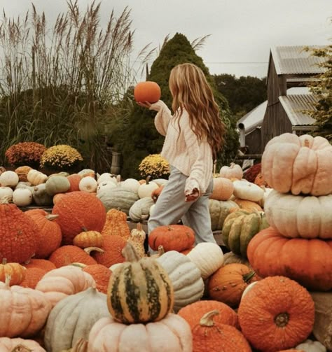 Pumpkin Patch Outfit Photoshoot, Pumpkin Patches Pictures, Pumpkin Patch Ghost Photoshoot, Pumpkin Patch Photo Shoot Ideas, Pumpkin Patch Fall Outfits, Fall Family Pumpkin Patch Photos, Pumpkin Patch Aesthetic Pictures, Mommy And Me Pumpkin Patch Photos, Pumpkin Patch Photoshoot Ideas