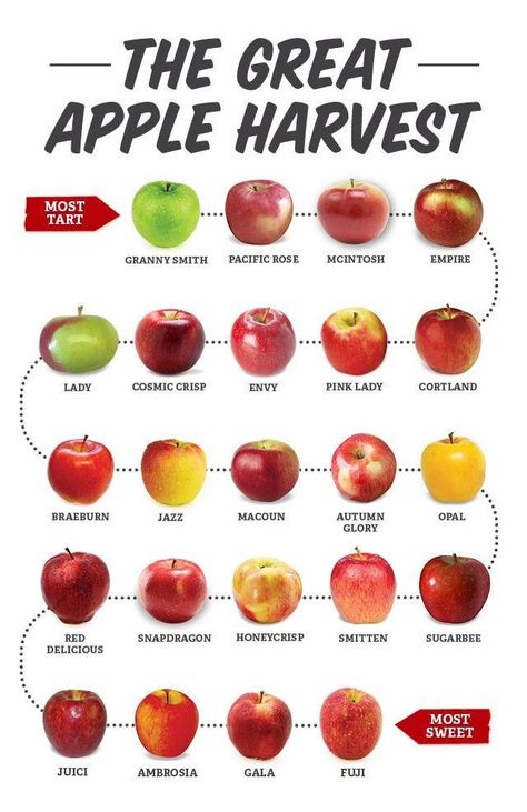 I was warned not to do this.... - dumb post - Imgur Apple Chart, Apple Types, Apple Varieties, Sprouts Farmers Market, Food Charts, Food Info, Apple Harvest, Food Facts, Apple Recipes