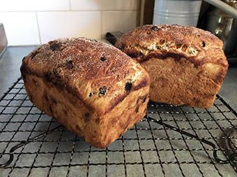 Dutch Oven Recipe, Gluten Bread, Bread Improver, Bread No Knead, Camp Oven, Chewy Bread, Bread Tin, Oven Recipe, Fruit Bread