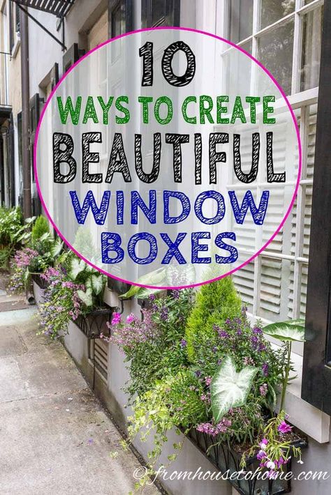 Gorgeous window boxes for the shade with Caladium. Click through to find more flower box ideas. #fromhousetohome #flowerboxes #gardeningtips #gardenideas #containers #gardens Flower Box Ideas, Landscaping Full Sun, Dirt Therapy, Flower Combinations, Impatiens Plant, Window Box Plants, Coral Bells Heuchera, Container Garden Design, Window Box Flowers