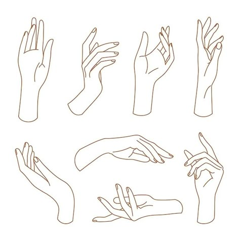 Hands Illustration Drawing, Lady Hand Reference, Delicate Hand Reference, Feminine Hands Drawing, Hands Illustration Simple, 2 Hands Drawing, Woman Hands Drawing, Female Hands Drawing, Hands Touching Drawing