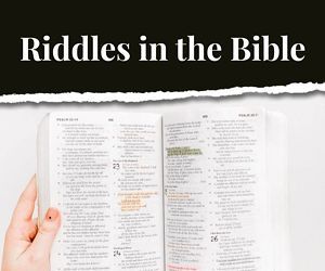 Ready for some fun riddles?! These 24 funny Bible riddles will just do that. These riddles are great for kid or adults. All the riddles come with answers. They will bring a smile to your face. I hope you enjoy these Christian riddles. #riddles #Bibleriddles Bible Riddles With Answers For Adults, Christian Riddles With Answers, Bible Riddles With Answers Jw, Bible Trivia For Adults, Bible Riddles With Answers, Bible Trivia Questions And Answers, Staff Breakfast, Funny Bible Verses, Funny Bible