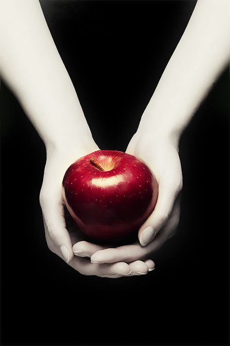 Twilight Cover V.I by vampynicole on DeviantArt Twilight Apple, Twilight Party, Twilight Poster, Twilight Saga Books, Twilight Quotes, Twilight Saga Series, Twilight Edward, Twilight Photos, Twilight Book