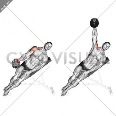 MEDIAL Incline Dumbbell Lateral Raise Dumbbell Lateral Raise, Shoulder Workouts, Forearm Workout, Dumbell Workout, Lateral Raises, Biceps And Triceps, Workout Inspiration, Back Pain Exercises, Shoulder Workout