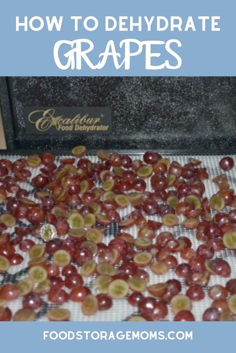 How To Dehydrate Grapes, Dehydrated Pomegranate, Dehydrate Grapes, Food Dehydrator Recipes, Dehydrator Ideas, Vintage Skills, Dehydrating Food Storage, Canning Granny, Clafoutis Recipes