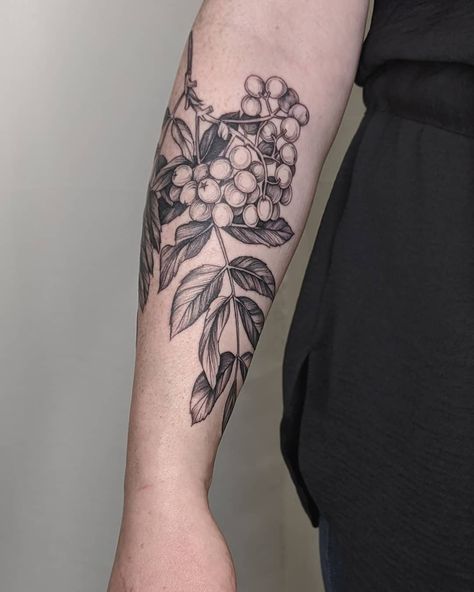 ᛉ Courtney Roth ᛉ (she/they) on Instagram: “Rowan, my most favorite magical plant, on wonderful Allison from a little bit ago✨ Rowan is a tree whose lore is chock full of allusion to…” Celtic Rowan Tree Tattoo, Rowan Tattoo Design, Blackthorn Tree Tattoo, Rowan Tree Drawing, Rowan Leaf Tattoo, Holly Bush Tattoo, Rowan Branch Tattoo, Rowan Berry Tattoo, Holly Plant Tattoo