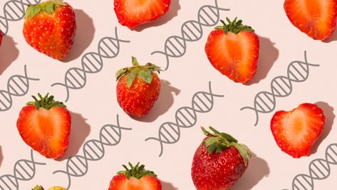 Strawberry DNA Extraction Strawberry Dna Extraction, Dna Extraction, Life Science Middle School, Convection Currents, Dimensional Analysis, Plate Boundaries, Ap Chemistry, High School Activities, Plant Cell