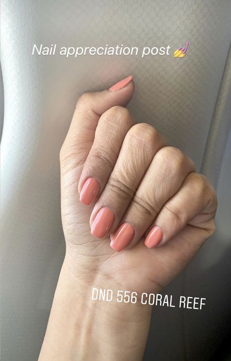 Soft Coral Nails, Dnd Coral Reef, Dnd Gel Polish, Coral Nails, Soft Coral, Soft Corals, Pedicures, Gel Manicure, Coral Reef