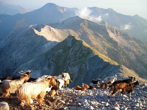 Taygetos Mt, Greece Greece Mountains, Greek Nature, Greek Mountains, Greece Photos, The Historian, The Song Of Achilles, Song Of Achilles, Location Inspiration, Winter Destinations