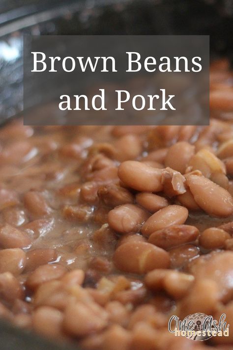 This recipe for Brown Beans and Pork reminds us of visiting MiMi's house! Brown Beans Recipe, Pork And Beans Recipe, Beans Recipe Crockpot, Brown Beans, Leftover Pork Roast, Dry Beans Recipe, Beans In Crockpot, Pot Roast Crock Pot Recipes, Pork Broth