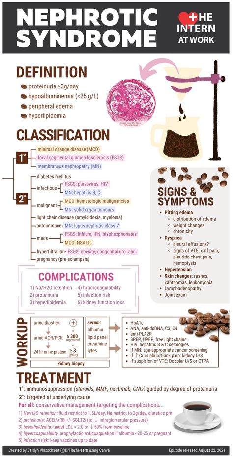 Nursing School Studying Cheat Sheets, Medical Terminology Study, Nephrotic Syndrome, Medicine Notes, Medical School Life, Basic Anatomy And Physiology, Nurse Study Notes, Nursing Mnemonics, Nursing Student Tips