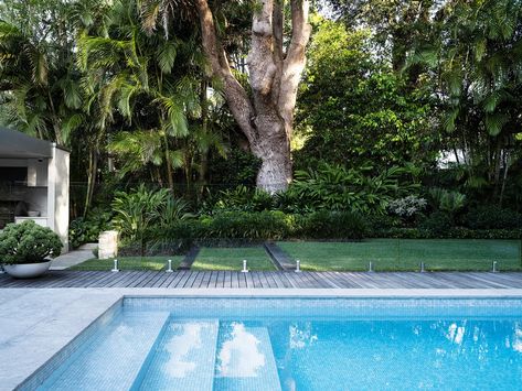 A Tropical Palm-Filled Garden In Eastern Sydney Alexander Palms, Modern Swimming Pool, Backyard Pool Deck, Best Beach Chair, Pool Fencing, Palm Garden, Garden Goals, Pool Landscape Design, Pool Landscape