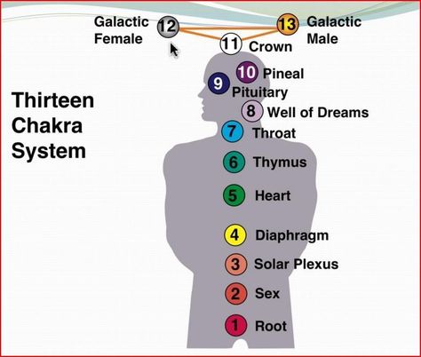 13 chakra system - new Chakra Chart, Energy Consciousness, Back Pain Remedies, Chakra System, Neck And Back Pain, Les Chakras, Chakra Meditation, Chakra Balancing, Energy System