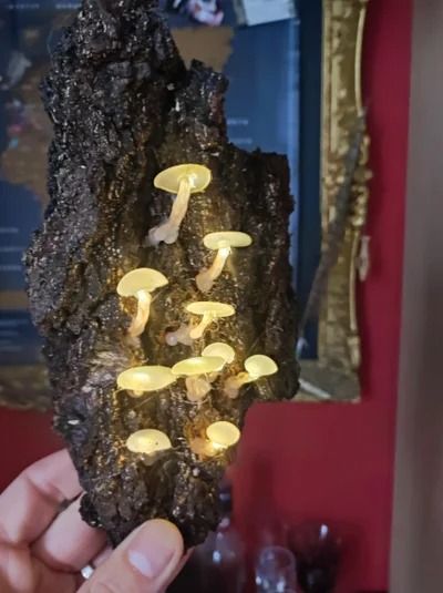 Hot Glue Mushroom Lights : 8 Steps (with Pictures) - Instructables Hot Glue Art, Glue Art, Mushroom Crafts, Magic Crafts, Mushroom Lights, Mushroom Fairy, Stuffed Mushroom Caps, Led Diy, Light Crafts