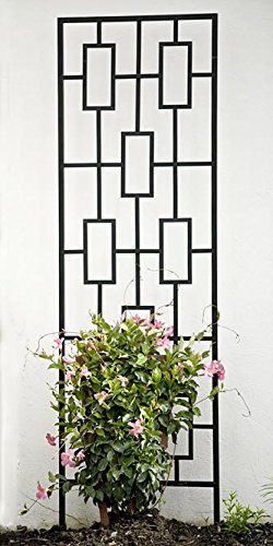 Contemporary Trellis, Wall Trellis, Diy Garden Trellis, Metal Trellis, Diy Trellis, Small Backyard Gardens, Modern Landscape Design, Contemporary Garden, Backyard Garden Design