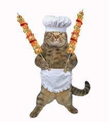 Chef Cat, Chef Cats, Gatos Cool, Dream's Cat, Cat Stock, Image Chat, Silly Cats Pictures, Funny Cats And Dogs, Cat Facts