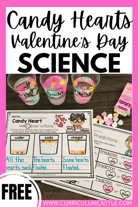 Kindergarten Sink Or Float, Candy Heart Science Preschool, Valentines Day Science For Kids, Candy Heart Experiment Preschool, Conversation Heart Science Experiment, Valentines Activities For Elementary Kids, Valentine’s Day Experiments, Valentines Activities For Prek, Valentines Day Experiments Kids