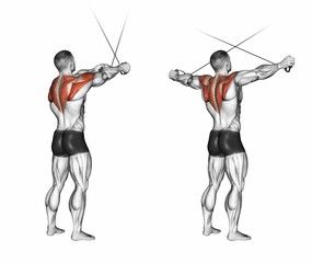 6-Rear delt cable fly 7x10-- Standing Cable Rear Delt Fly Rear Delt Fly, Delt Fly, Cable Machine Workout, Exercise Board, Traps Workout, Stomach Exercises, Cable Workout, Health Images, Rear Delt