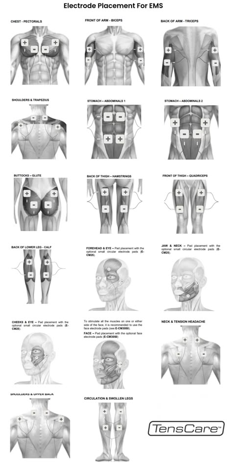 Electrode Placement Charts, Ems Abs Stimulator, Electronic Muscle Stimulators, Ems Electrode Placement Muscle, Tens Placement Chart, Tens Unit Placement Charts Shoulder, Tens Unit For Muscle Toning, Ems Placement Chart, Tens Pad Placement Chart