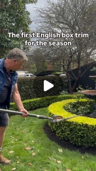 ANDREW STARK on Instagram: "#andrewstark #andrewstarkgardens #andrewstarkgardendesign #gardendesign #gardendesignmelbourne #hedges #topiary #pruning #gardenreno #gardenrenovation #gardenlovers @husqvarnaaustralia" Iceberg Roses, Rose Hedge, Rose Pruning, Standard Roses, Boxwood Hedge, Background Noise, Garden Lovers, Old Wood, The Plant