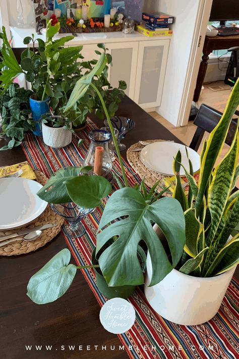 Plants Dining Room, Plants As Centerpieces, Plants For Table, Dining Room Table Centerpiece, Plant Centerpieces, Fun Planters, Table Centerpiece Flower, Indoor Plants Styling, Ladies Tea