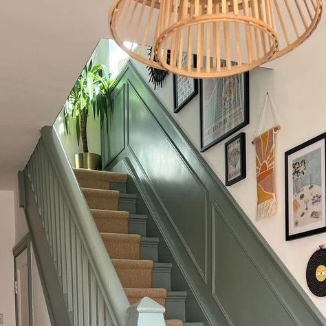 Victorian Terrace Hallway Panelling, Entrance Hall Lighting Ideas, Room With Built In Shelves, Painted Ceiling Bedroom, Victorian Hallways, Panelled Hallway, Hallway Decorating Colours, Green Staircase, Pink And Green Kitchen