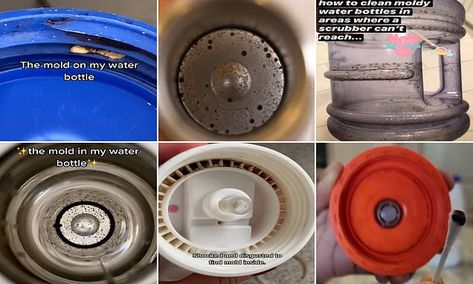 Are YOU cleaning your water bottle properly? Water Bottle Cleaning Tablets Diy, How To Clean Labels Off Glass Bottles, Self Cleaning Water Bottle, Filtering Water Bottle, Clean Water Bottles, Clean Bottle, Bottle Cleaner, Best Water Bottle, Homemade Remedies