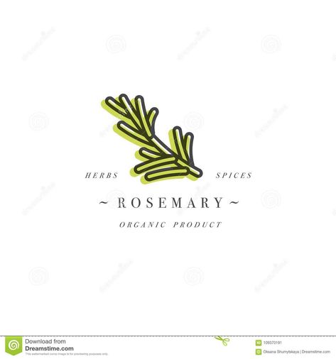 Packaging Design Template Logo And Emblem - Herb And Spice - Rosemary Branch. Logo In Trendy Linear Style. Stock Vector - Illustration of logo, plant: 109370191 Rosemary Logo, Herb Logo Design, Indesign Tips, Packaging Design Template, Logo Plant, Herb Logo, Organic Food Logo, African Herbs, Green Branding