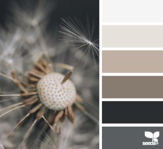 Seeds Color, Color Concept, Brown Design, Rustic Colors, Design Seeds, Gray Design, Door Color, Kitchen Colors, Bedroom Colors