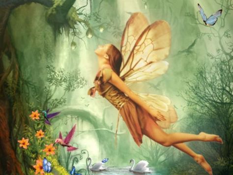 I got: Fairy! What Mythical Creature Would You Be? Water Fairy, Types Of Fairies, Fairy Stories, Humanoid Creatures, Magical Creature, Fairy Aesthetic, Mythical Creature, Fun Quizzes, Witch Art