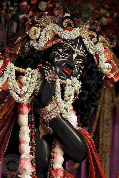 Radha Kishan, Iskcon Krishna, Krishna Hindu, Sweet Lord, Krishna Statue, Krishna Songs, Lord Krishna Wallpapers, Jai Shree Krishna, Shri Krishna