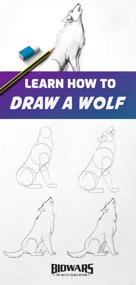 A collage of images depicting the process of wolf drawing. Wolf Sketch Tutorial, Wolf Sketch Easy Step By Step, Wolf Drawing Easy Step By Step, Step By Step Wolf Drawing, How To Draw A Wolf Step By Step, How To Draw Wolves, Wolf Cute Drawing, Wolve Drawings, Draw A Wolf Easy