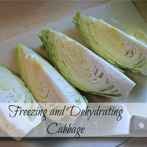 How to freeze and dehydrate cabbage. Dehydrate Cabbage, How To Store Cabbage, Freezing Cabbage, Growing Cabbage, Freezing Vegetables, Dehydrating Food, Dehydrated Foods, Dehydrated Vegetables, Freeze Drying Food